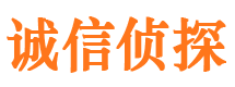 新和市侦探